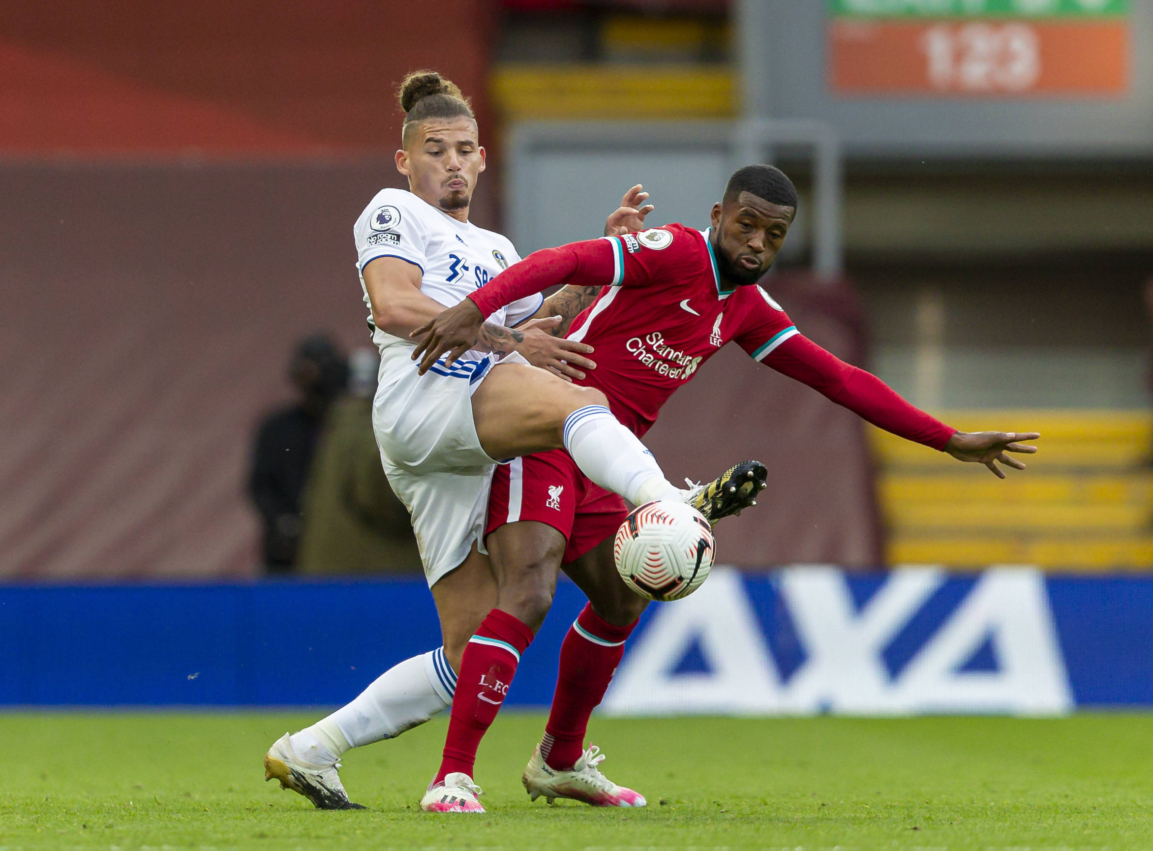 个大家庭的 个大家庭的