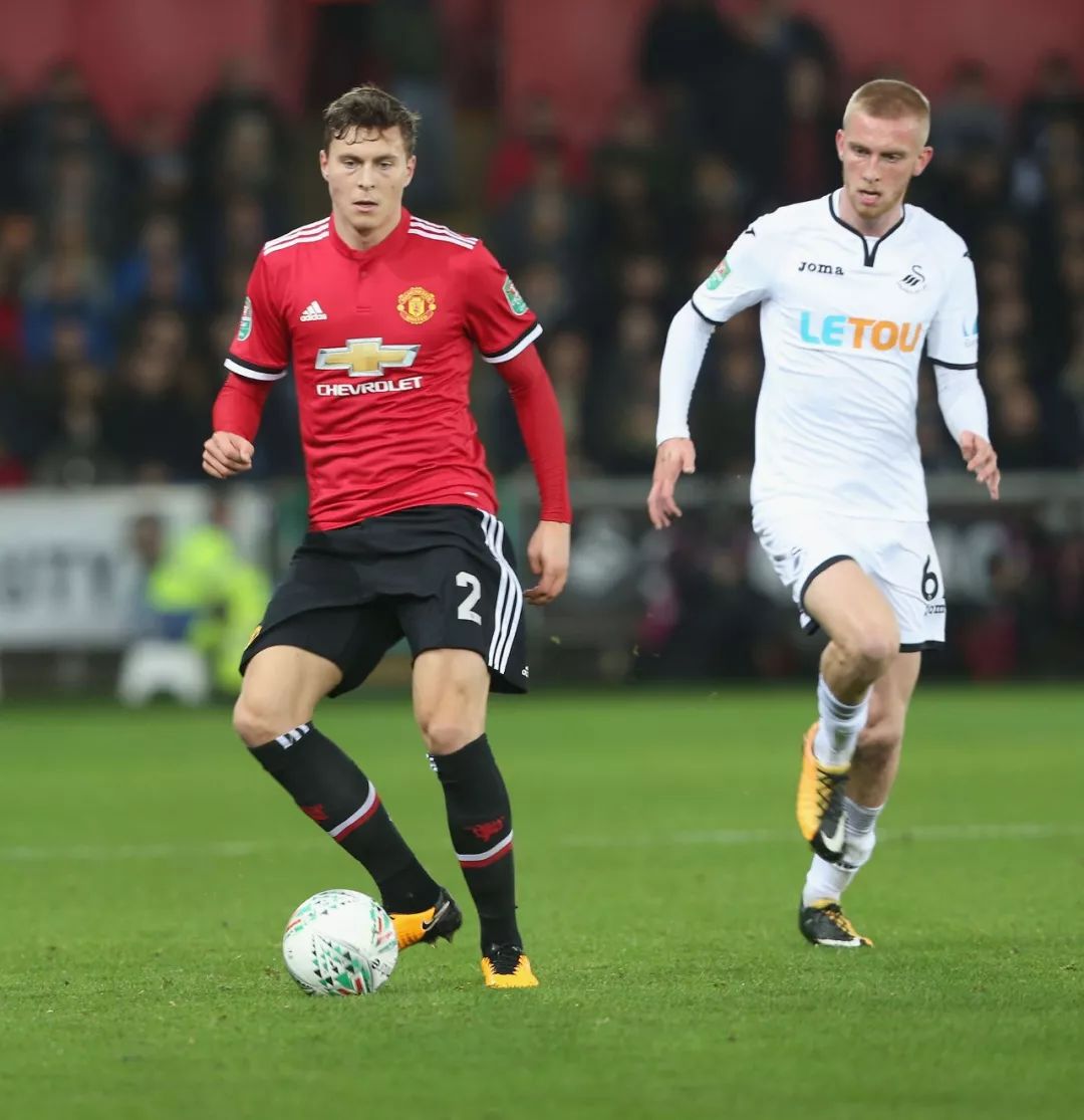 网球培养基 网球培养基